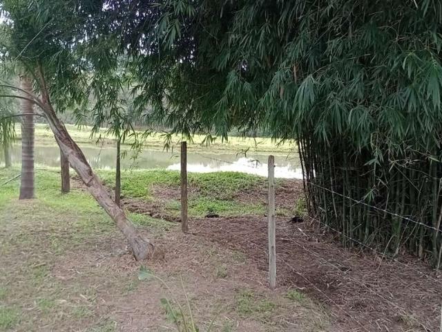Sítio e chácara venda em Região Imediata de Limeira, Região Metropolitana de Campinas