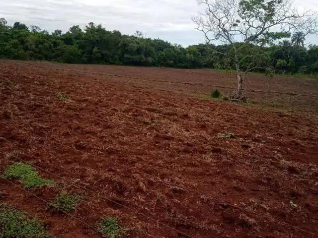 Sítio e chácara venda em Região Imediata de Limeira, Região Metropolitana de Campinas