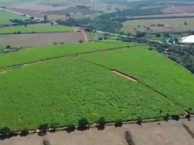 Sítio e chácara venda em Região Imediata de Limeira, Região Metropolitana de Campinas