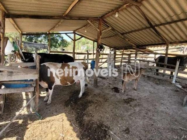 Sítio e chácara venda em Região Geográfica Imediata de Conselheiro Lafaiete, Entre Rios de Minas