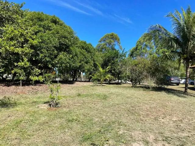 Sítio e chácara venda em Região Geográfica Imediata de Alagoinhas, Entre Rios