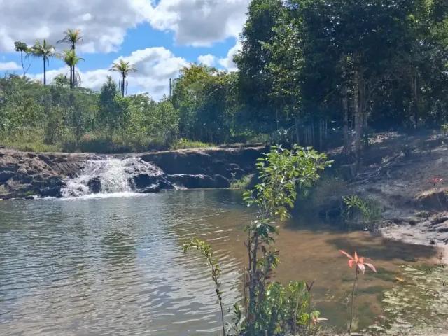 Sítio e chácara venda em Região Geográfica Imediata de Alagoinhas, Entre Rios