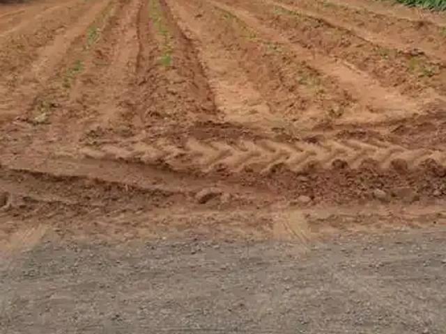 Sítio e chácara venda em Região Geográfica Imediata de Araranguá, Araranguá