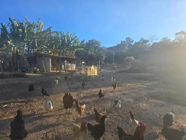 Sítio e chácara venda em Andiroba, Esmeraldas