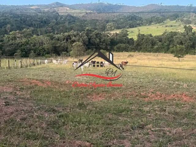 Sítio e chácara venda em Região Geográfica Imediata de Belo Horizonte, Região Metropolitana de Belo Horizonte