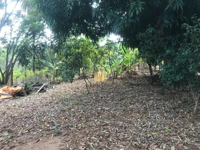 Sítio e chácara venda em Região Geográfica Imediata de Belo Horizonte, Região Metropolitana de Belo Horizonte
