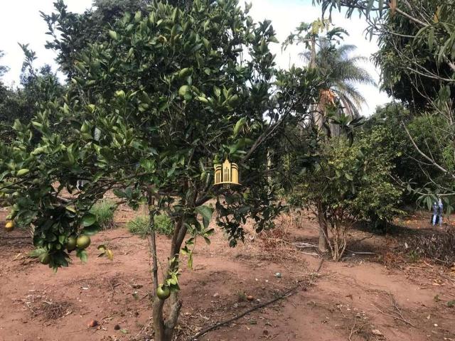 Sítio e chácara venda em Região Geográfica Imediata de Belo Horizonte, Região Metropolitana de Belo Horizonte