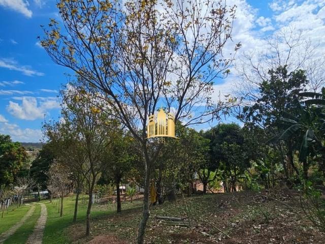 Sítio e chácara venda em Centro, Esmeraldas