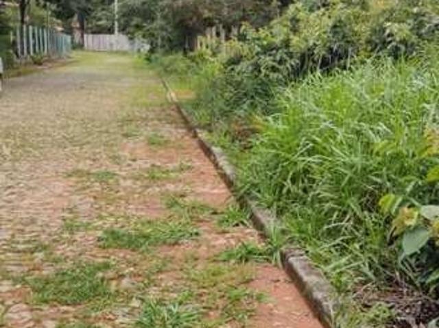 Sítio e chácara venda em Região Geográfica Imediata de Belo Horizonte, Região Metropolitana de Belo Horizonte
