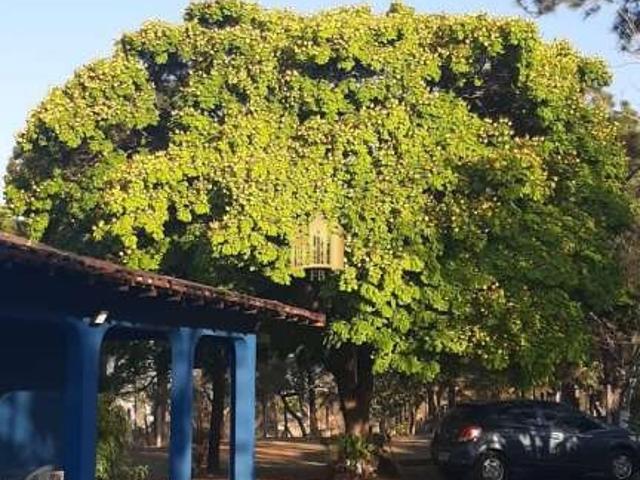 Sítio e chácara venda em Região Geográfica Imediata de Belo Horizonte, Região Metropolitana de Belo Horizonte
