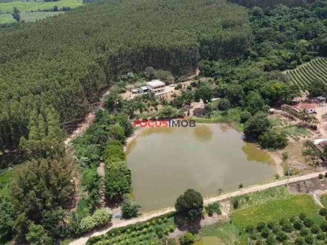 Sítio e chácara venda em Região Imediata de São João da Boa Vista, Espírito Santo do Pinhal