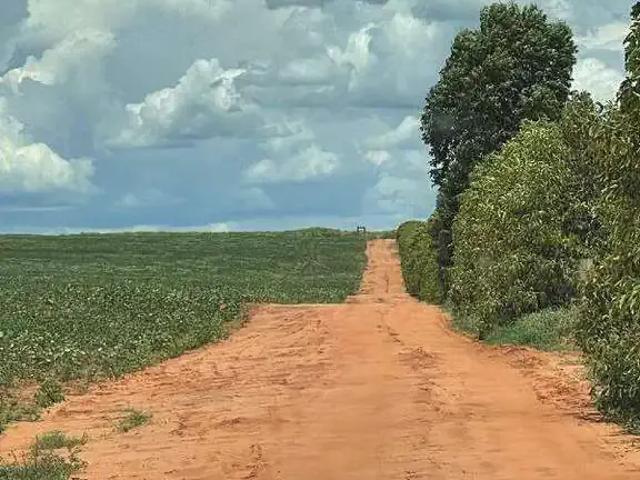 Sítio e chácara venda em Região Imediata de Ourinhos, Região Sudeste