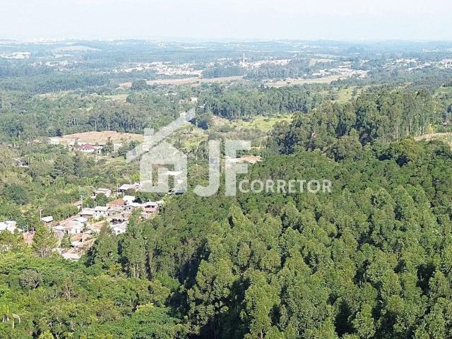 Sítio e chácara venda em Região Geográfica Imediata de Novo Hamburgo - São Leopoldo, Região Metropolitana de Porto Alegre