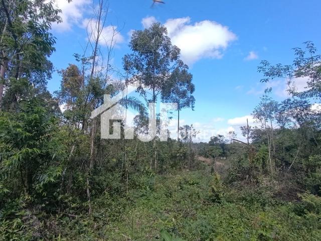 Sítio e chácara venda em Região Geográfica Imediata de Novo Hamburgo - São Leopoldo, Região Metropolitana de Porto Alegre