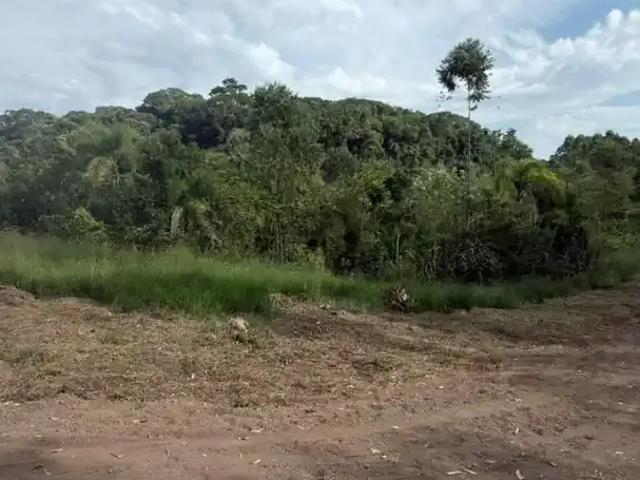 Sítio e chácara venda em Região Geográfica Imediata de Novo Hamburgo - São Leopoldo, Região Metropolitana de Porto Alegre