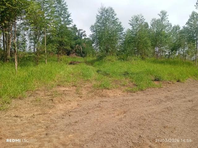 Sítio e chácara venda em Região Geográfica Imediata de Novo Hamburgo - São Leopoldo, Região Metropolitana de Porto Alegre
