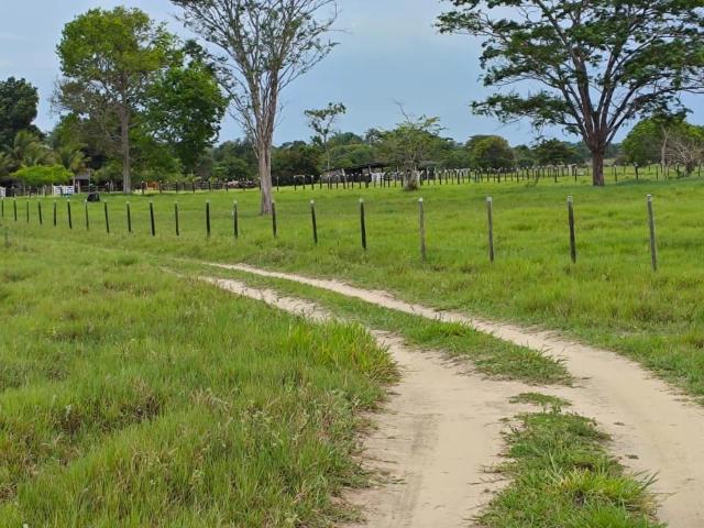 Sítio e chácara venda em Eunápolis, Região Geográfica Intermediária de Ilhéus-Itabuna
