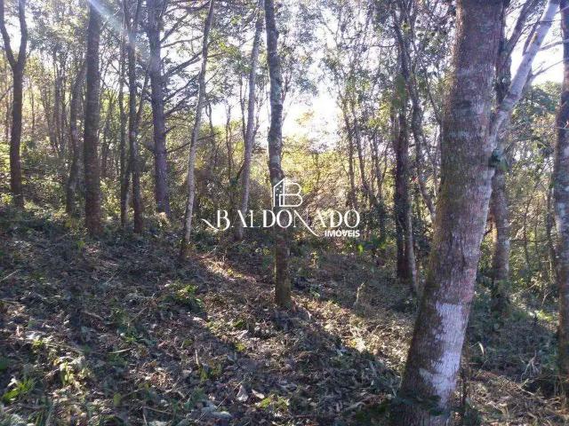 Sítio e chácara venda em Região Geográfica Imediata de Pouso Alegre, Extrema