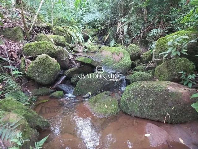 Sítio e chácara venda em Região Geográfica Imediata de Pouso Alegre, Extrema