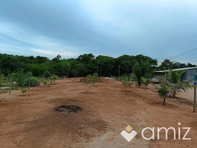 Sítio e chácara venda em Região Geográfica Imediata de Goiás - Itapuranga, Faina