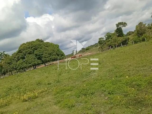 Sítio e chácara venda em Região Geográfica Imediata de Goiás - Itapuranga, Faina