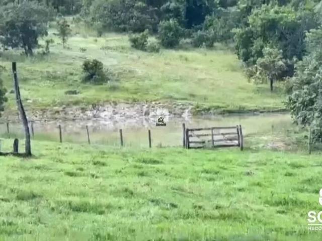 Sítio e chácara venda em Faina, Região Geográfica Intermediária de Goiânia