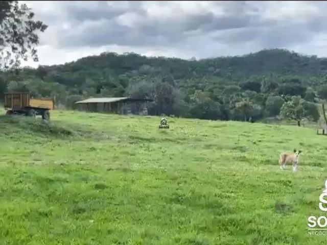 Sítio e chácara venda em Região Geográfica Imediata de Goiás - Itapuranga, Faina