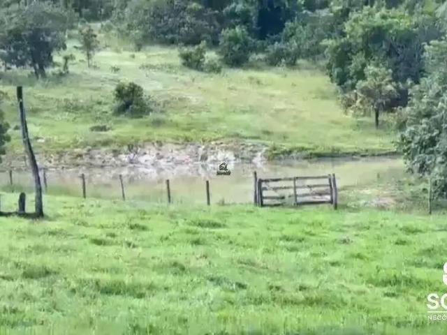Sítio e chácara venda em Região Geográfica Imediata de Goiás - Itapuranga, Faina