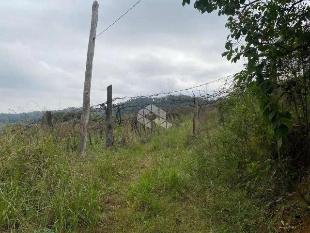 Sítio e chácara venda em Farroupilha
