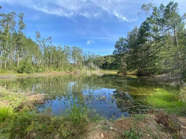 Sítio e chácara venda em Região Geográfica Imediata de Caxias do Sul, Farroupilha