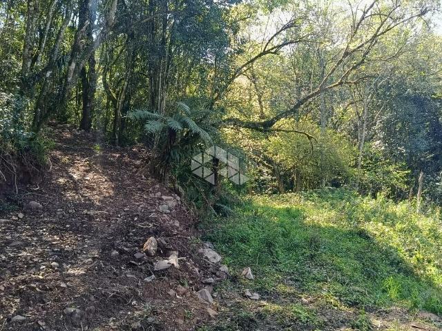 Sítio e chácara venda em Farroupilha