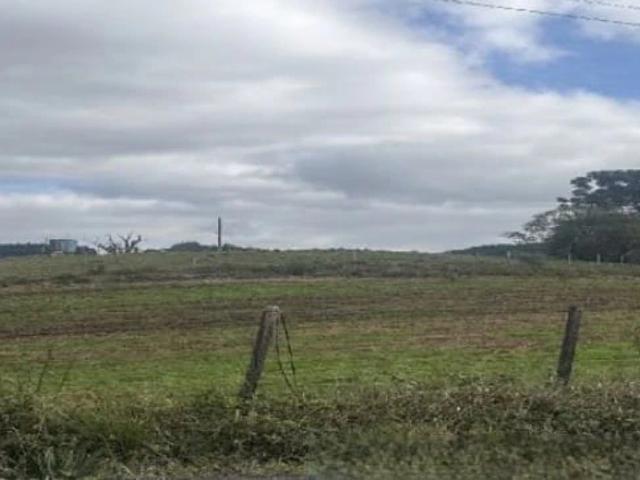 Sítio e chácara venda em Região Geográfica Imediata de Caxias do Sul, Farroupilha