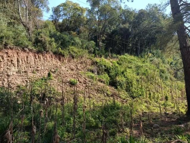 Sítio e chácara venda em Região Geográfica Imediata de Caxias do Sul, Farroupilha