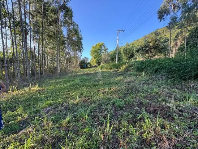 Sítio e chácara venda em Farroupilha, Região Geográfica Intermediária de Caxias do Sul
