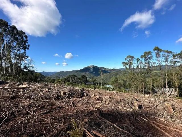 Sítio e chácara venda em Farroupilha, Região Geográfica Intermediária de Caxias do Sul