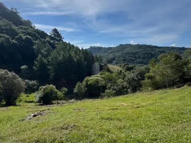 Sítio e chácara venda em Região Geográfica Imediata de Caxias do Sul, Farroupilha