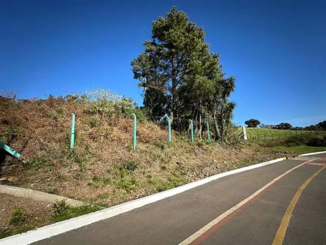 Sítio e chácara venda em Região Geográfica Imediata de Caxias do Sul, Farroupilha