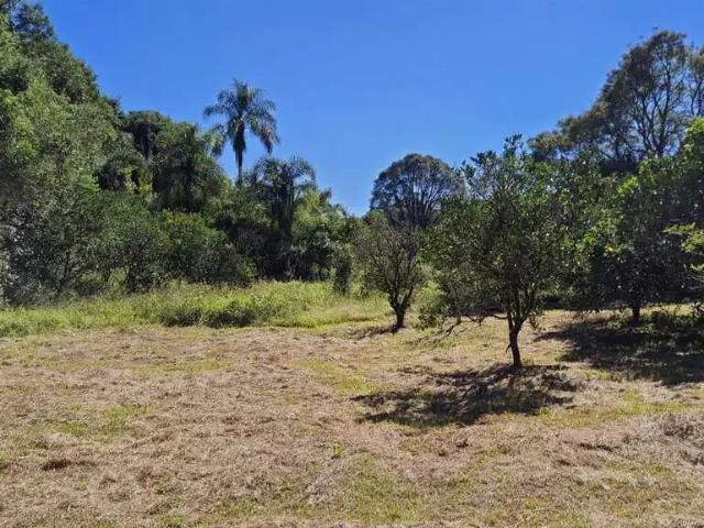 Sítio e chácara venda em Região Geográfica Imediata de Caxias do Sul, Farroupilha