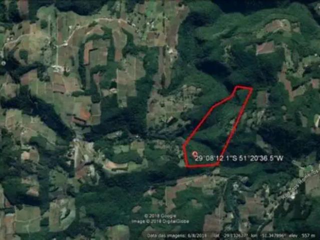 Sítio e chácara venda em Região Geográfica Imediata de Caxias do Sul, Farroupilha