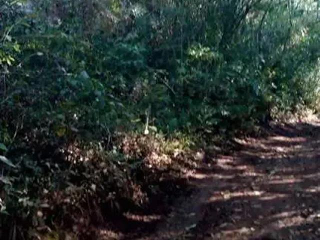 Sítio e chácara venda em Região Geográfica Imediata de Caxias do Sul, Farroupilha