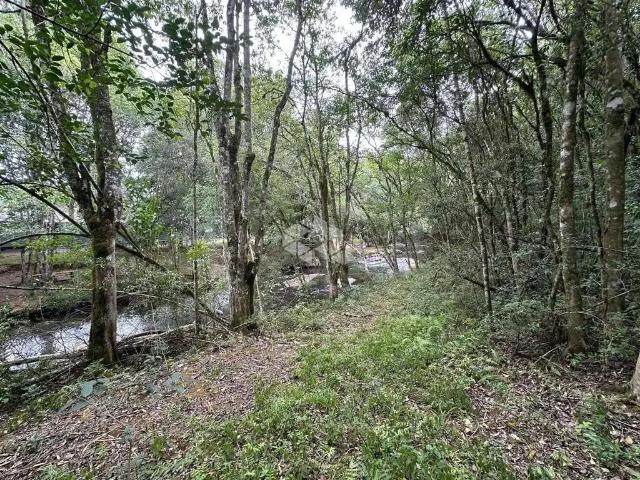 Sítio e chácara venda em Região Geográfica Imediata de Caxias do Sul, Farroupilha