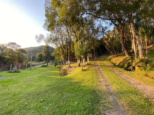 Sítio e chácara venda em Região Geográfica Imediata de Caxias do Sul, Farroupilha