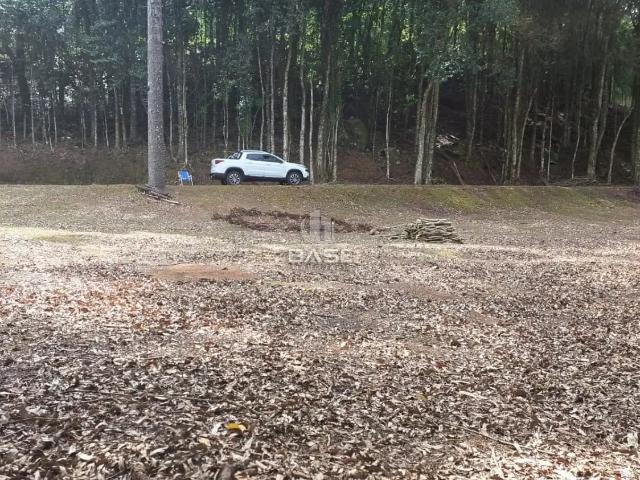 Sítio e chácara venda em Farroupilha, Região Geográfica Intermediária de Caxias do Sul