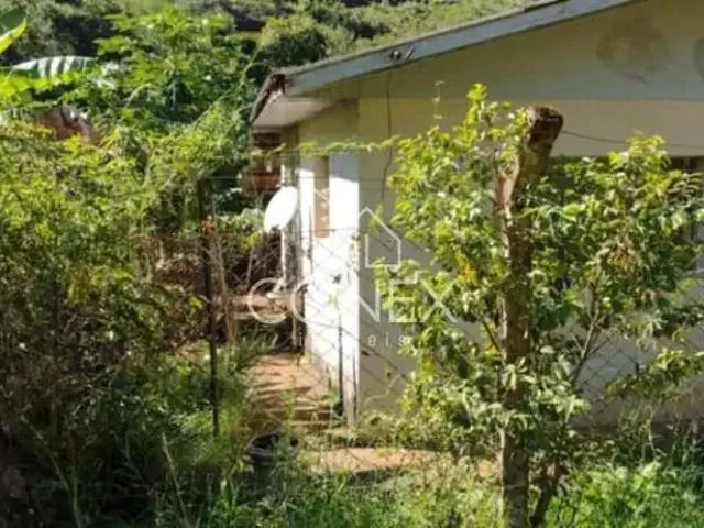 Sítio e chácara venda em Região Geográfica Imediata de Caxias do Sul, Farroupilha