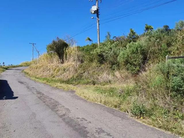 Sítio e chácara venda em Região Geográfica Imediata de Caxias do Sul, Farroupilha