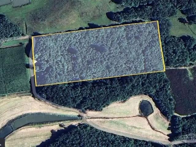 Sítio e chácara venda em Região Geográfica Imediata de Caxias do Sul, Farroupilha