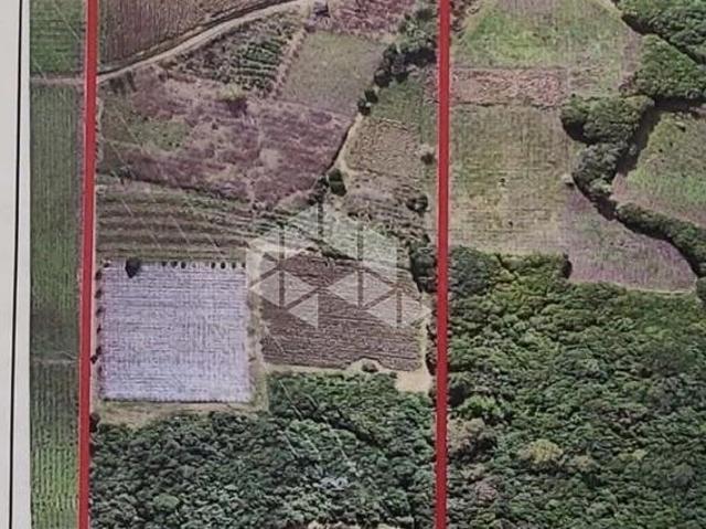 Sítio e chácara venda em Região Geográfica Imediata de Caxias do Sul, Farroupilha