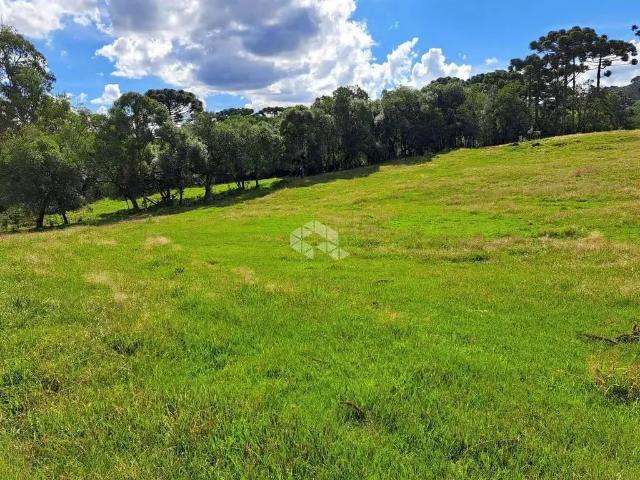 Sítio e chácara venda em Região Geográfica Imediata de Caxias do Sul, Farroupilha