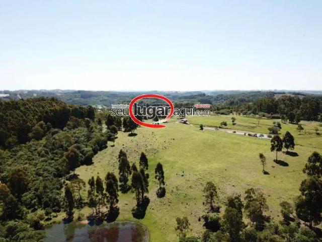 Sítio e chácara venda em Região Geográfica Imediata de Caxias do Sul, Farroupilha