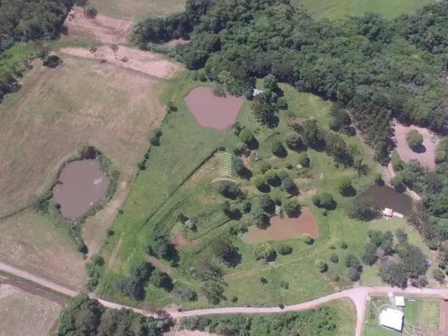 Sítio e chácara venda em Região Geográfica Imediata de Caxias do Sul, Farroupilha